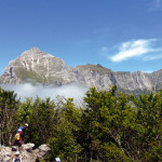 Presentazione programma 2014